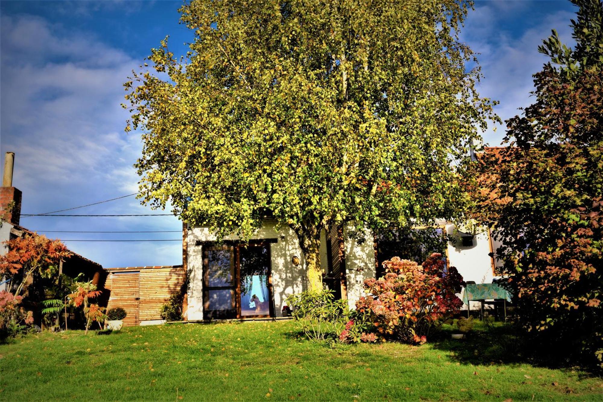 Maison Jeanny, Full House With Big Garden Frasnes-lez-Anvaing Exterior foto